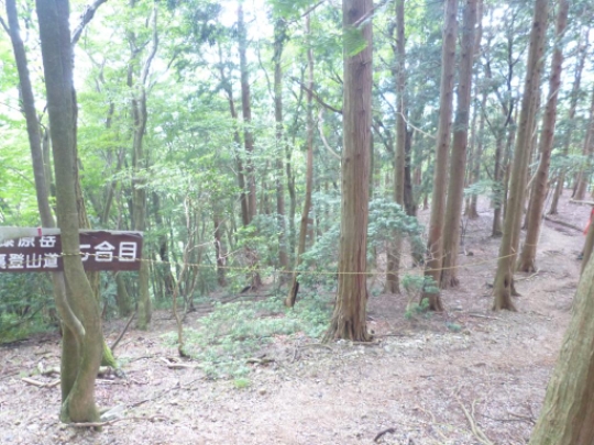 画像12
